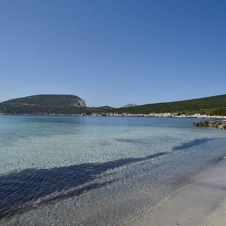 Villa Margherita Альгеро Екстер'єр фото